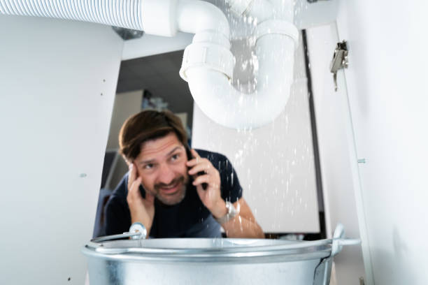 Best Leak Detection Services  in Mishicot, WI